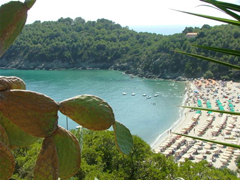 SPIAGGIA di FETOVAIA